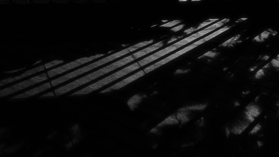 63D806C3-3B71-45F2-9D38-5017C759E402_1_105_c