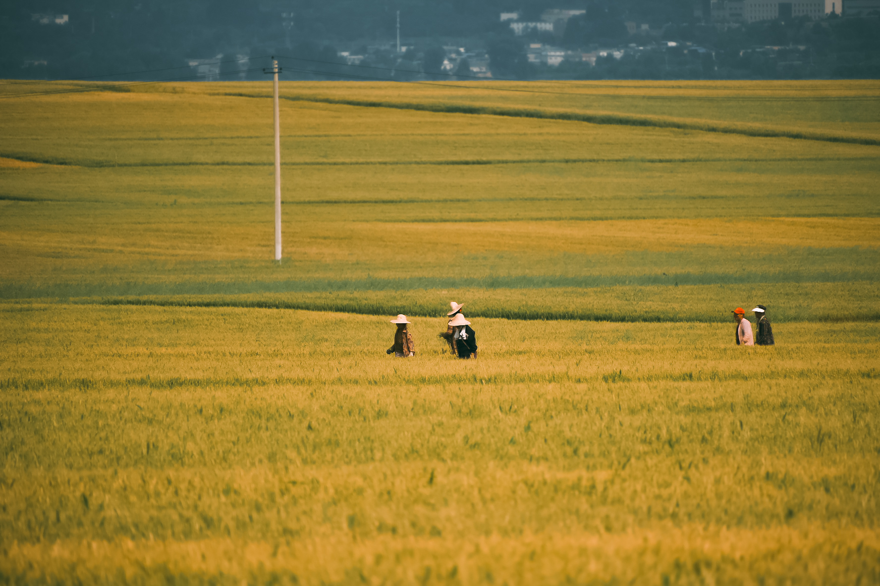 image-1717405741949