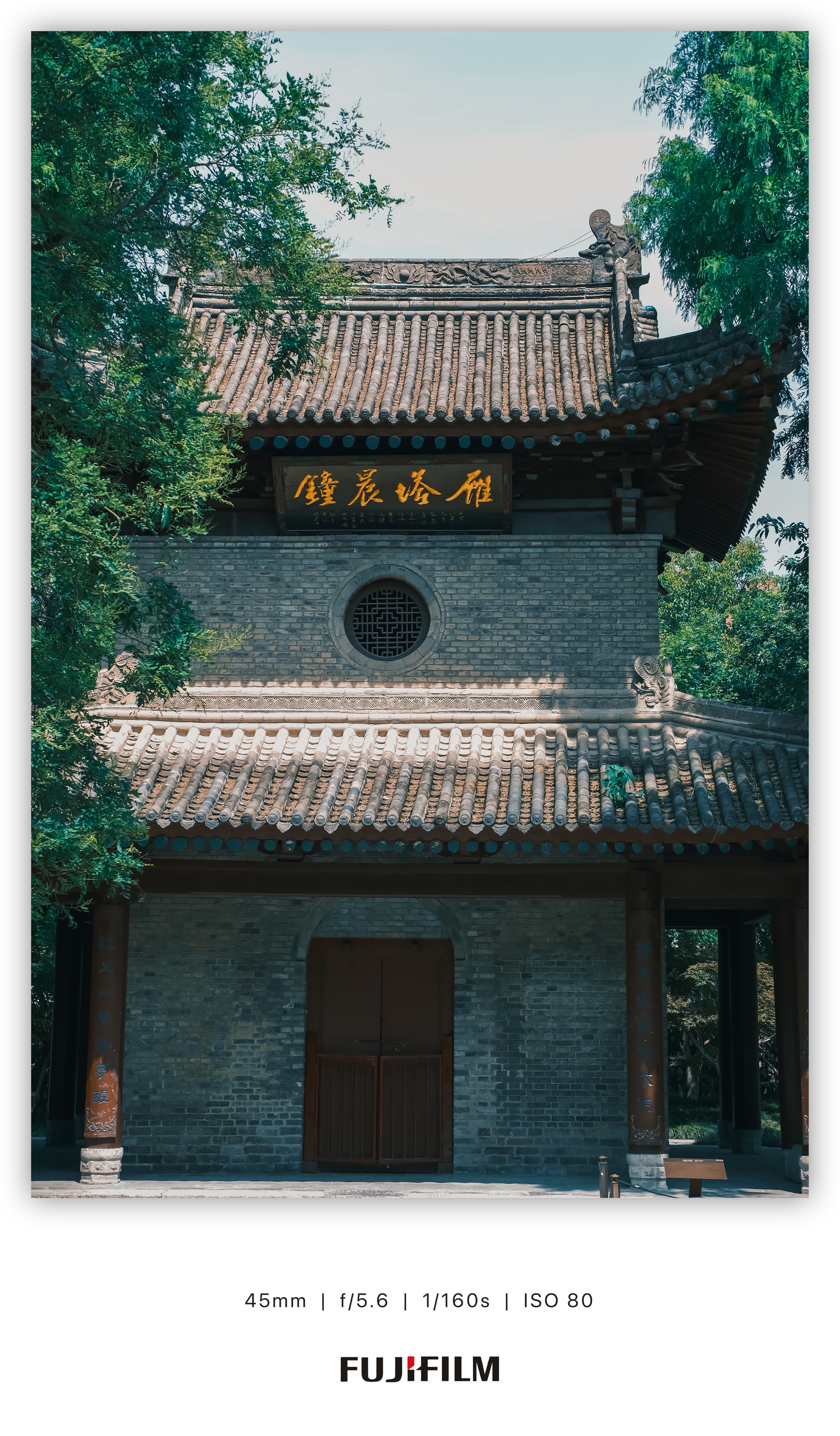 image-1717405809253